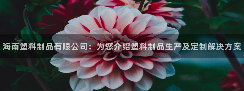 太阳集团城娱