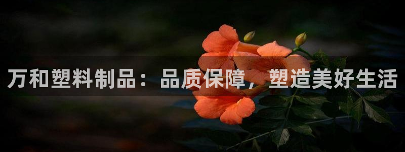 suncitygroup太阳集团