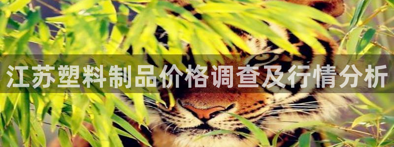 太阳集团网站视频