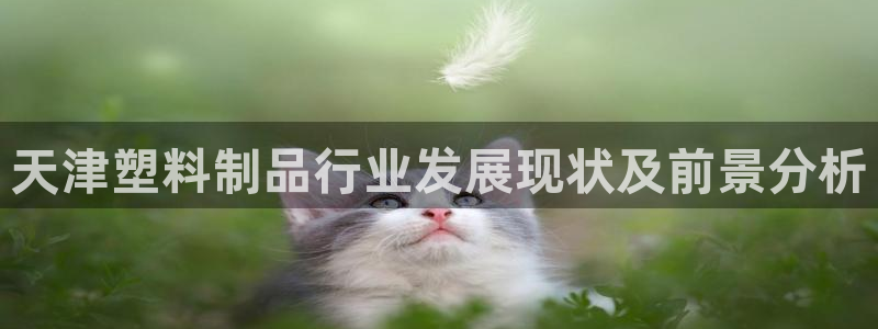 太阳阳城集团