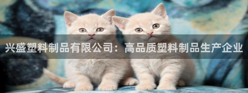 太阳app官网下载入口
