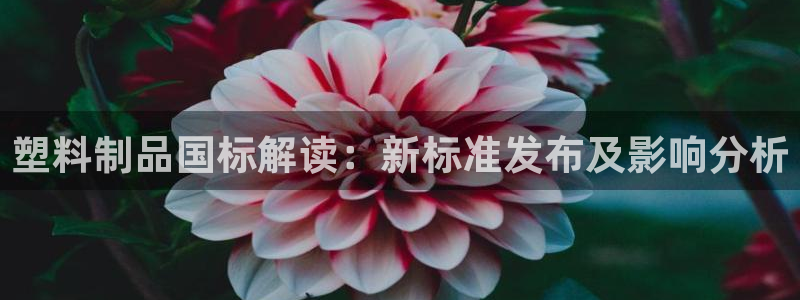 太阳诚集团APP