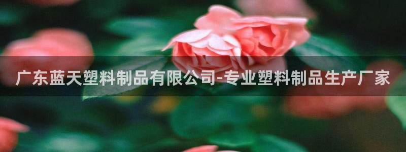 太阳集团城2017