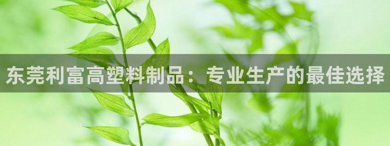 太阳成集团电子游戏