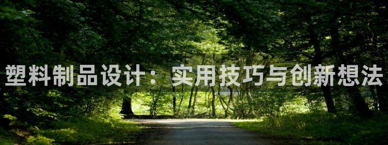 太阳地产老板