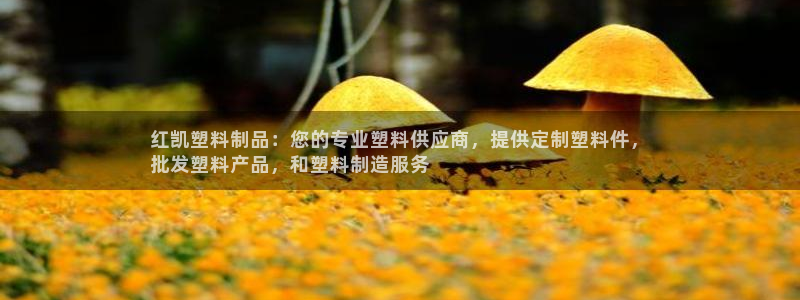 太阳集团网投