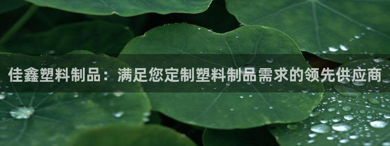 太阳成集团tyc7111cc的研发体系