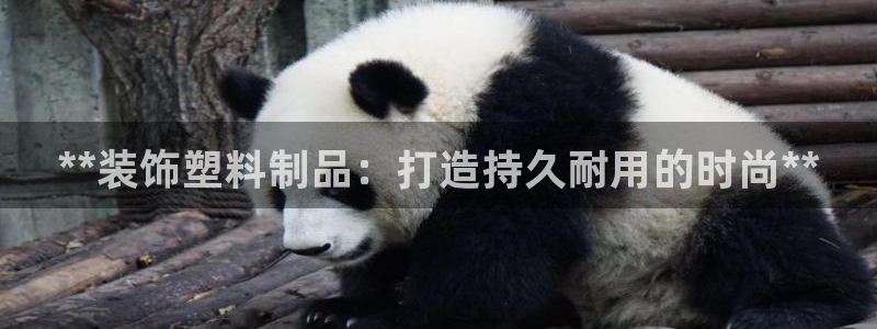 高淳红太阳集团