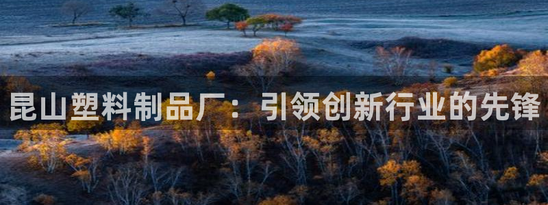 太阳成集团百度百科