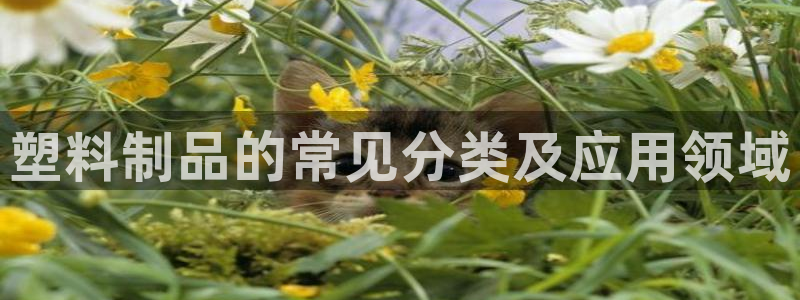 太阳app官方