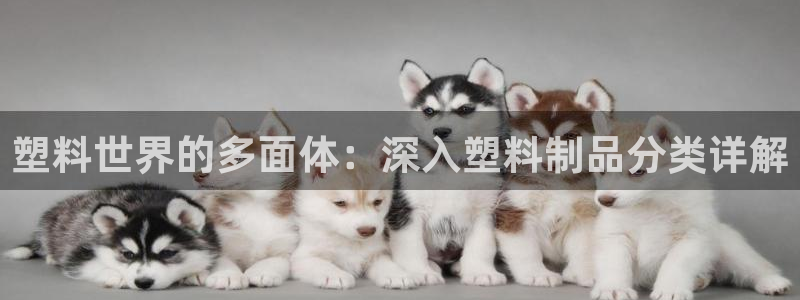 太阳gg会员登录