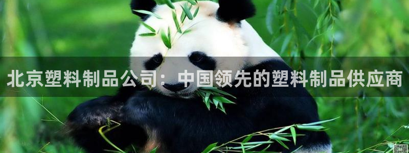 太阳集团在线