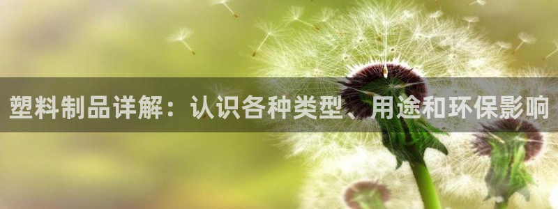 太阳集团电子游戏(中国)有限公司