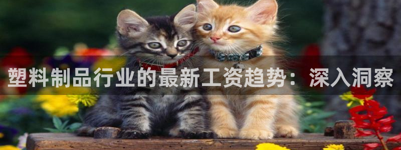 122cc太阳集成游戏