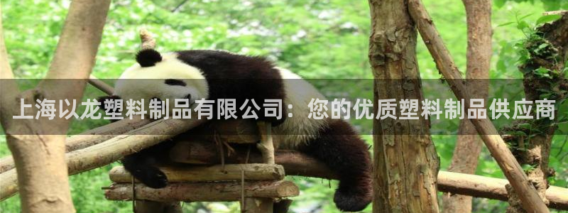 太阳成集团网址 app