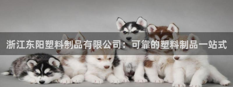 太阳app下载安装