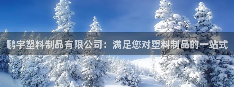 太阳诚集团有限公司是国企吗还是央企