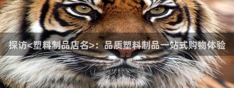 古天乐太阳网城