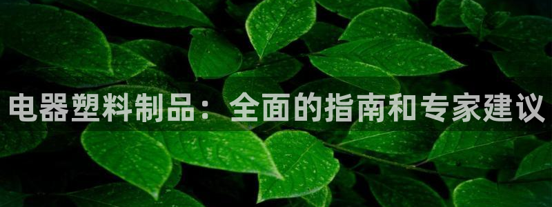 太阳成集团lougo图片