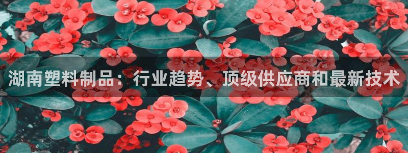太阳集团游戏城